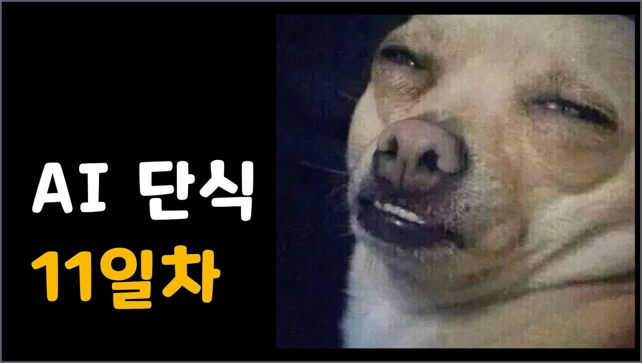 NO AI = 시련의 연속 - AI 단식 11일차