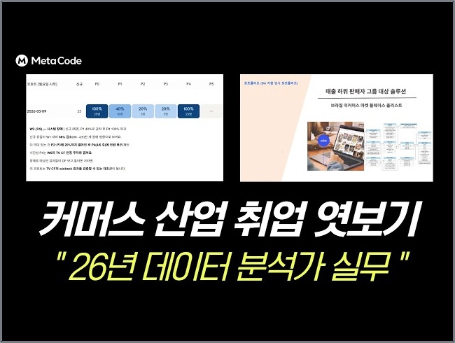 [26년 5월 최신 자료] 커머스 데이터분석 현직자가 알려주는 진짜 실무 (코호트·리텐션 분석 실습, 취업 합격까지)