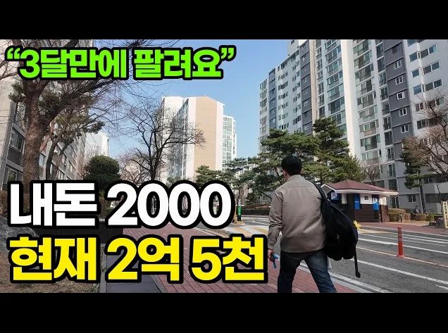 "내돈 2천으로 2억5천짜리 부동산 살 수있어요" AI 단타경매고수가 말하는 하락장에서도 돈버는법