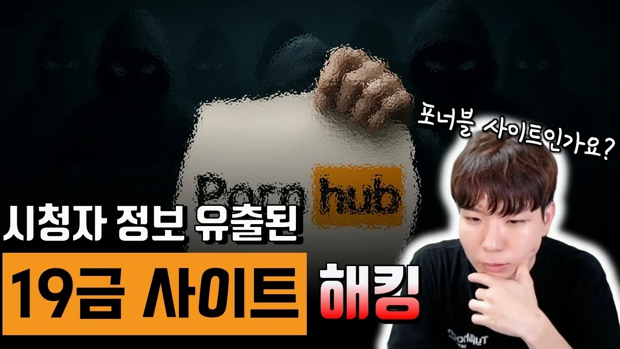 19금 pwnable 사이트 이용자 정보 2억건 유출. 어디서 언제 무슨 영상을 봤는지?