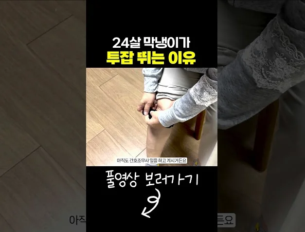 24살 회사 막내가 투잡 뛰는 이유