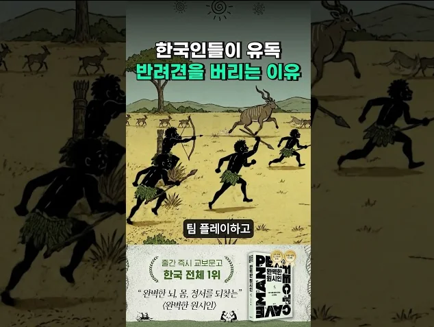 한국이 유독 유기견이 많은 이유
