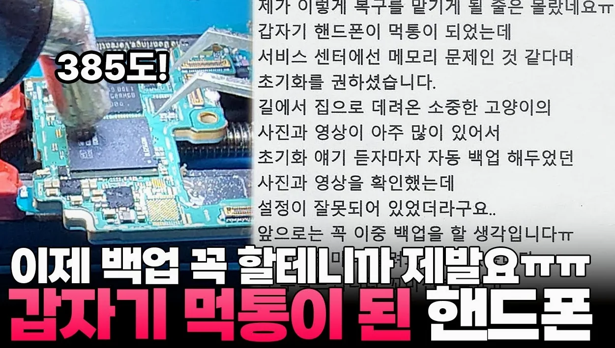 고양이 구조 하다 내 스마트폰이 구조된 썰 푼다.