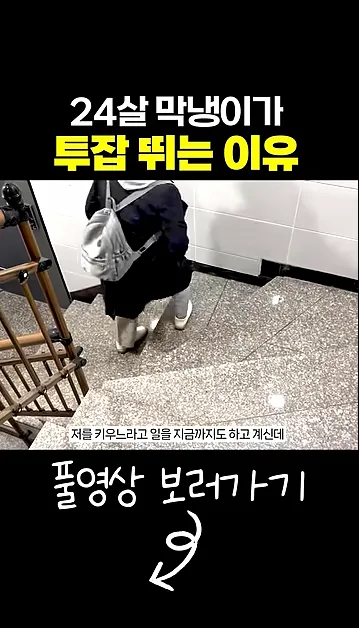 24살 회사 막내가 투잡 뛰는 이유 - 핵심 장면 2 - 투잡