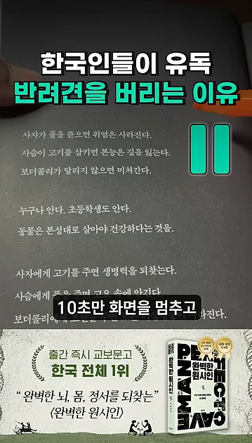 한국이 유독 유기견이 많은 이유 - 실전 화면 1 - 유기견