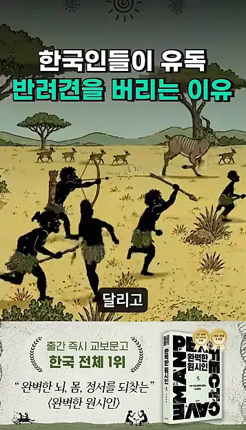 한국이 유독 유기견이 많은 이유 - 현장 스냅 3 - 유기견