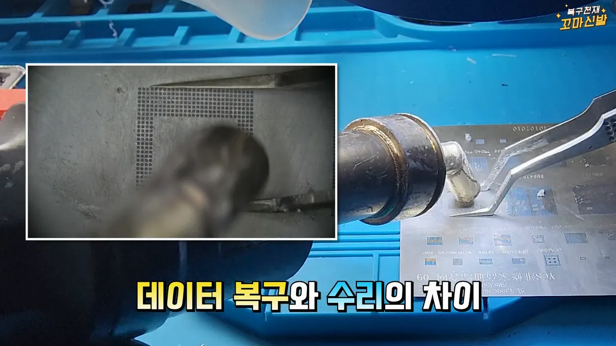 고양이 구조 하다 내 스마트폰이 구조된 썰 푼다. - 본문 이미지 3 - 고양이구조