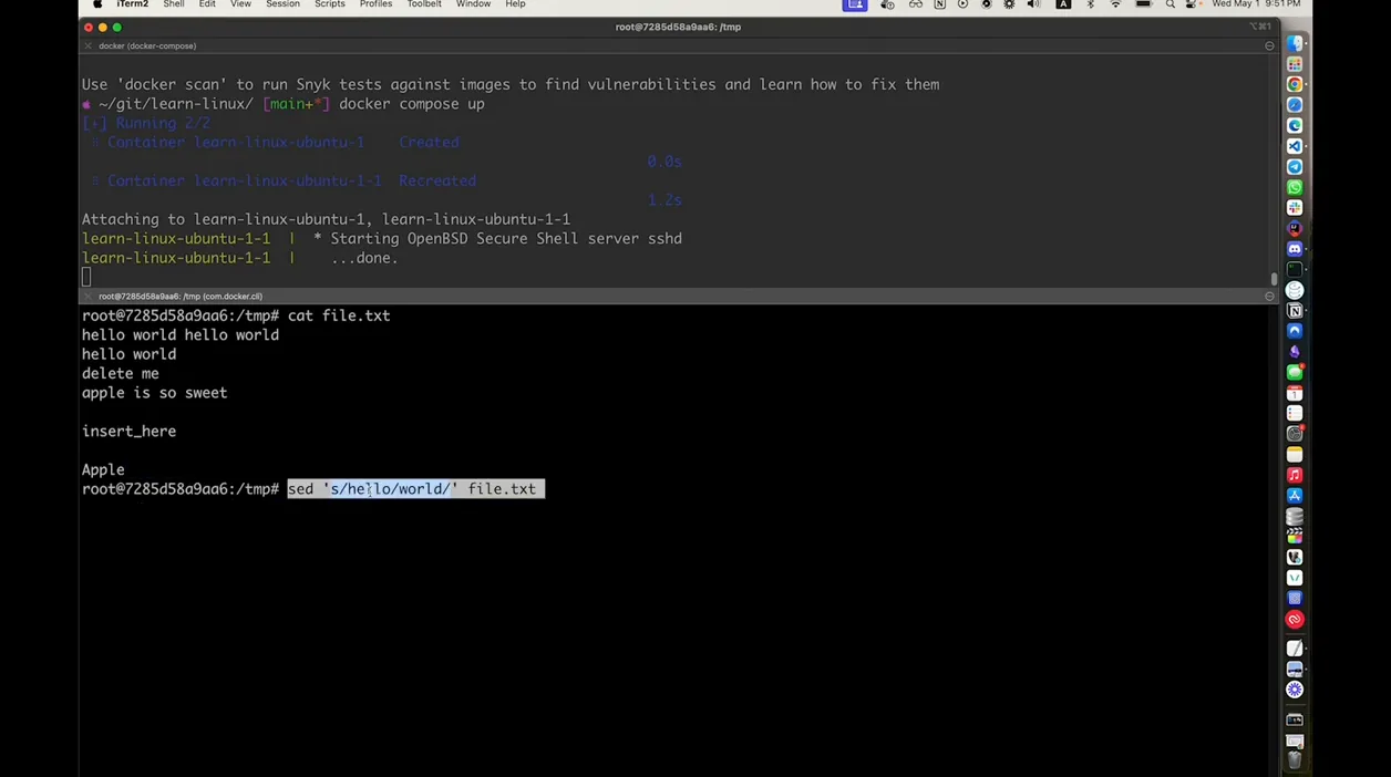 Linux: EP14 -  sed(Stream Editor) 명령어에 대해서 알아보자 - 실전 화면 2 - Linux