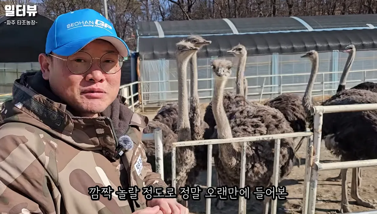 귀농 추천 1순위인 이유 '1년에 알 90개 낳는 타조… 왜 아무도 안 하세요?' - 현장 스냅 2 - 귀농