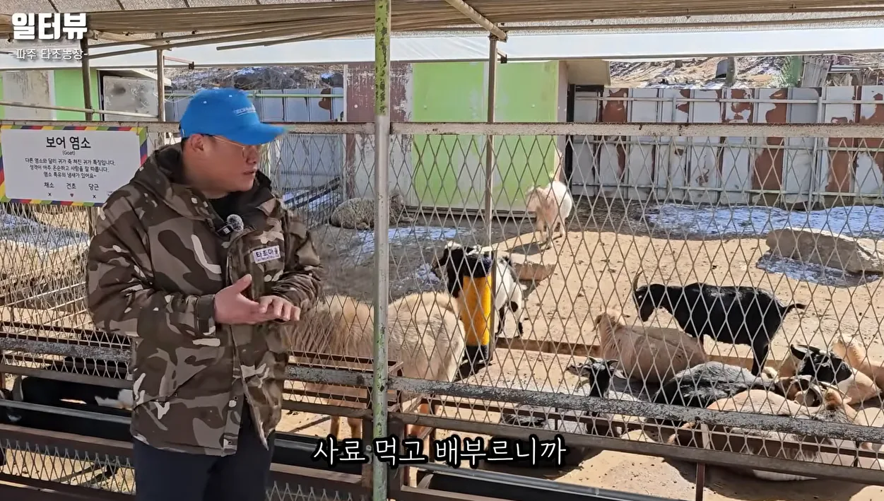 귀농 추천 1순위인 이유 '1년에 알 90개 낳는 타조… 왜 아무도 안 하세요?' - 참고 컷 3 - 귀농