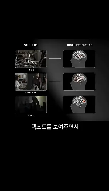 Meta의 뇌 예측 AI - 참고 컷 1 - Meta
